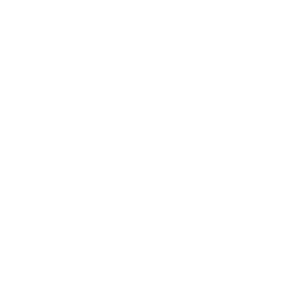 Monarch Bus and Limo luxury chauffeur service